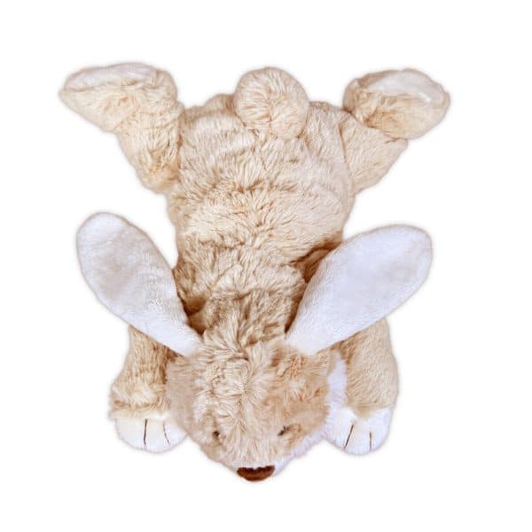 Gepersonaliseerd Knuffel Konijn met naam