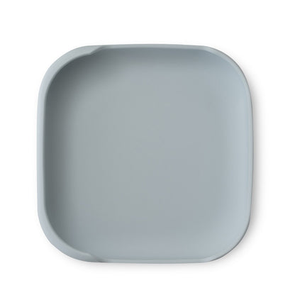 Siliconen Bord met Zuignap