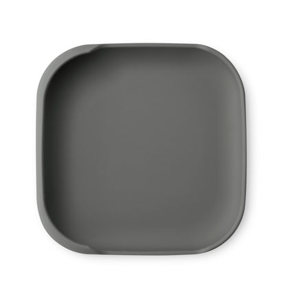 Siliconen Bord met Zuignap