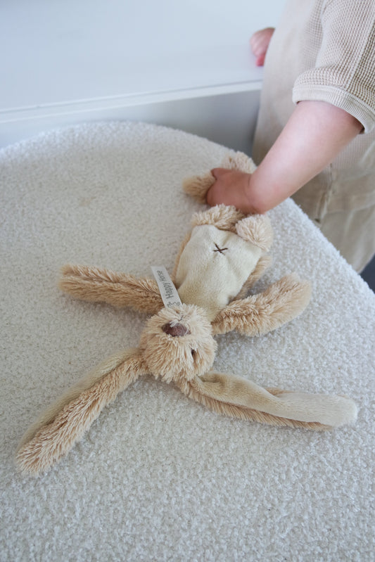 Box Rabbit Richie
